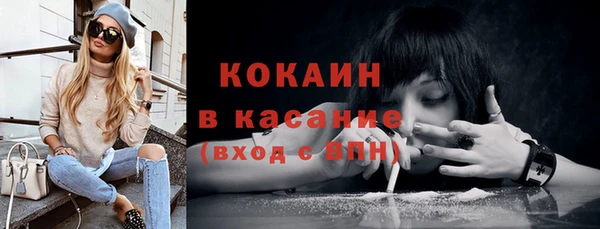 индика Аркадак
