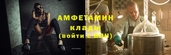 индика Аркадак