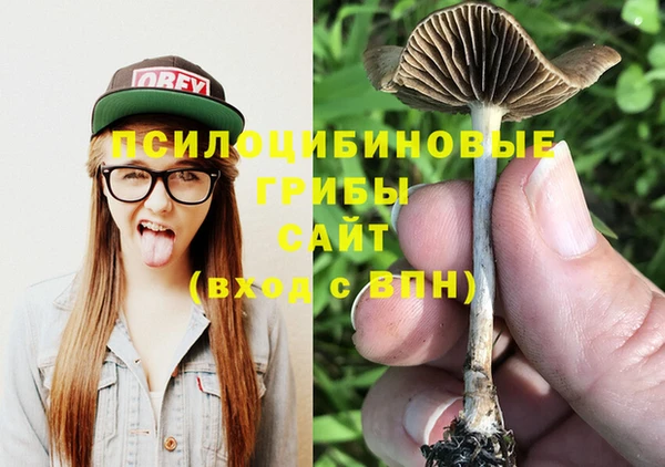 индика Аркадак