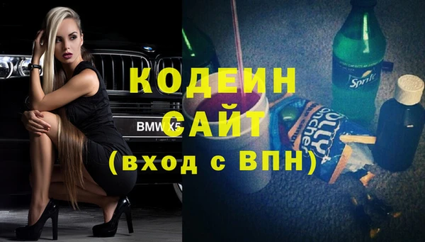 индика Аркадак
