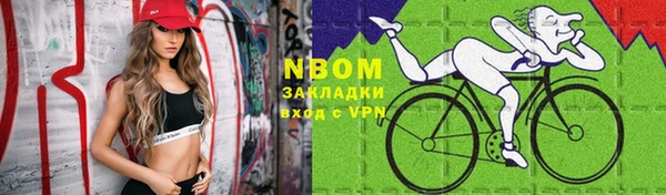 индика Аркадак