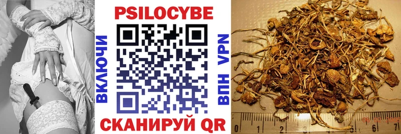kraken ТОР  Сасово  Галлюциногенные грибы Magic Shrooms 